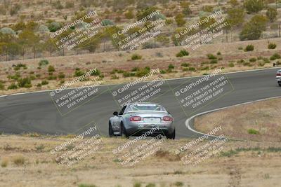 media/May-03-2025-Lucky Dog Racing (Sat) [[206de64b9d]]/Turn 2 (1020am-1120am)/